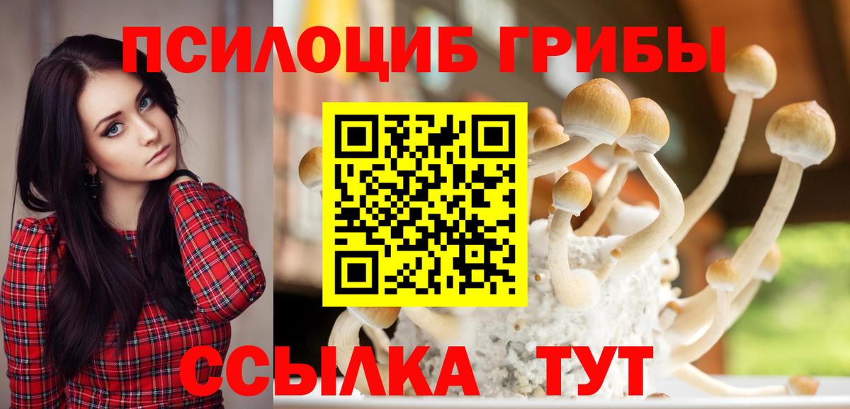 Дубна  Галлюциногенные грибы Magic Shrooms  продажа наркотиков  Вход с VPN 